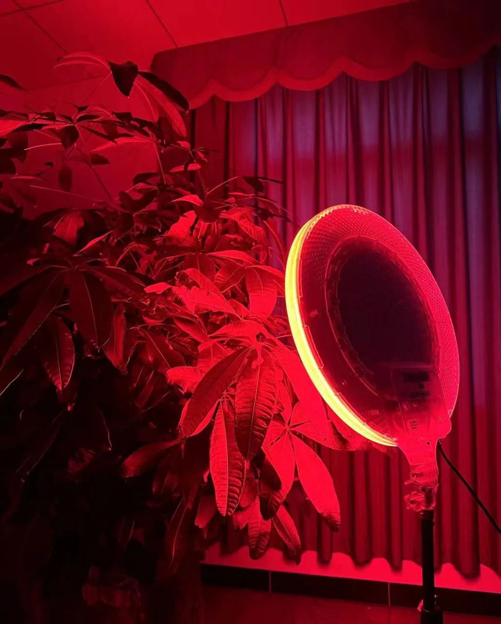 LED Fill Light RGB LED Fill Light RGB